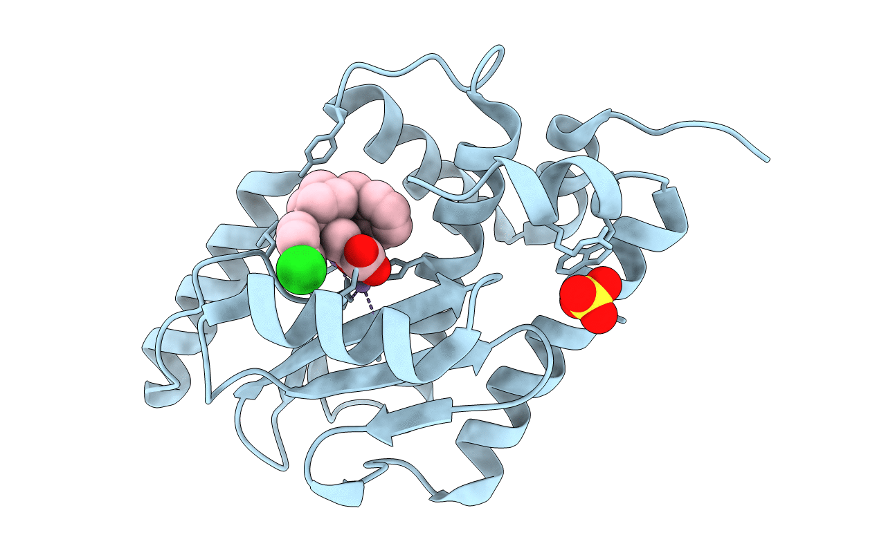 5FDG image