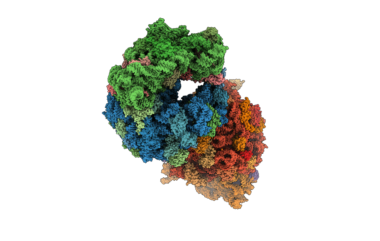 5FDV image