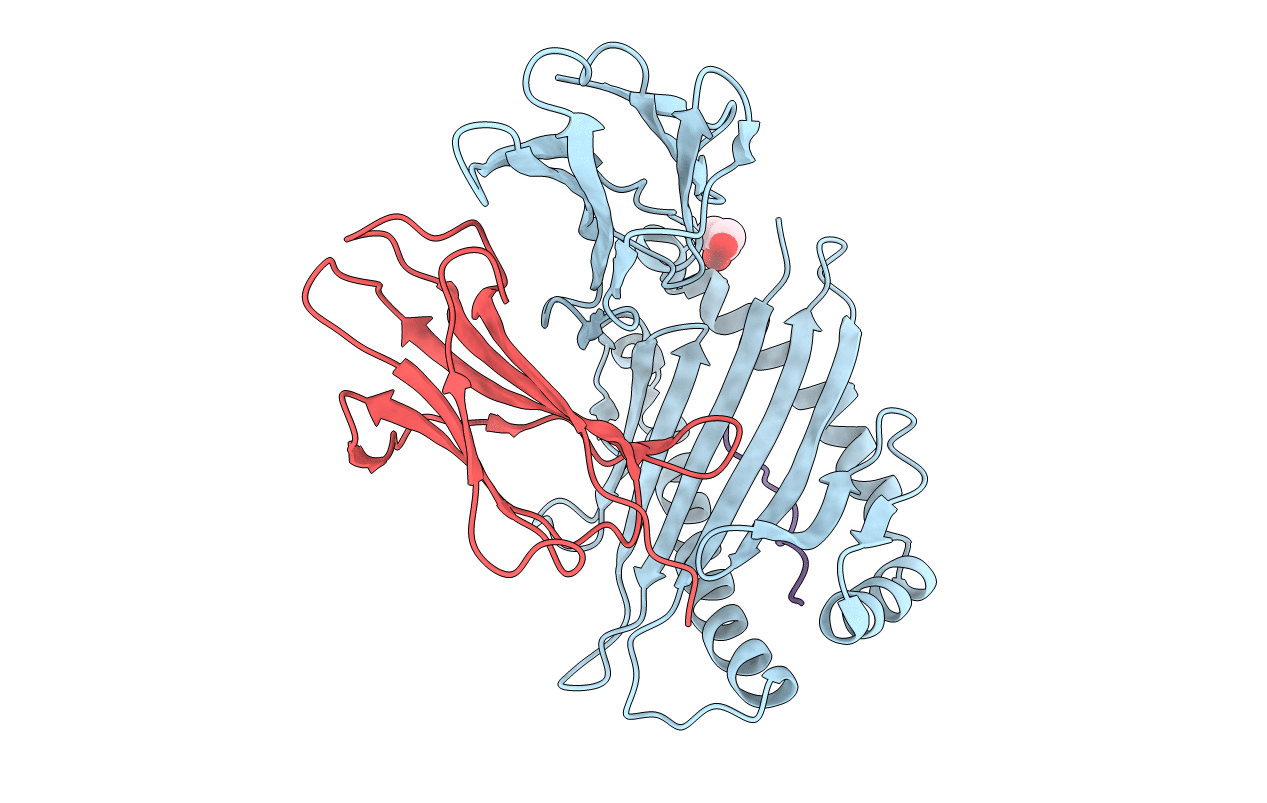 5FDW image