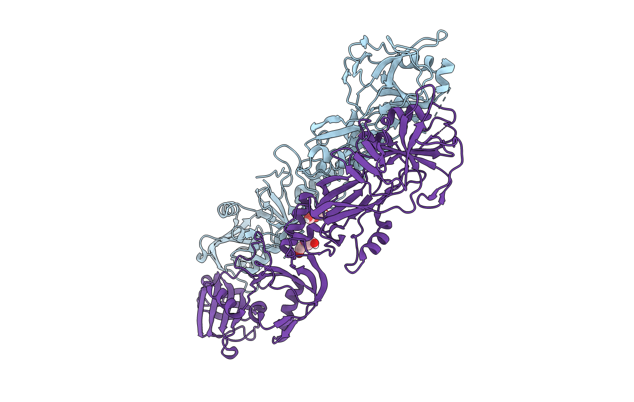 5FEI image