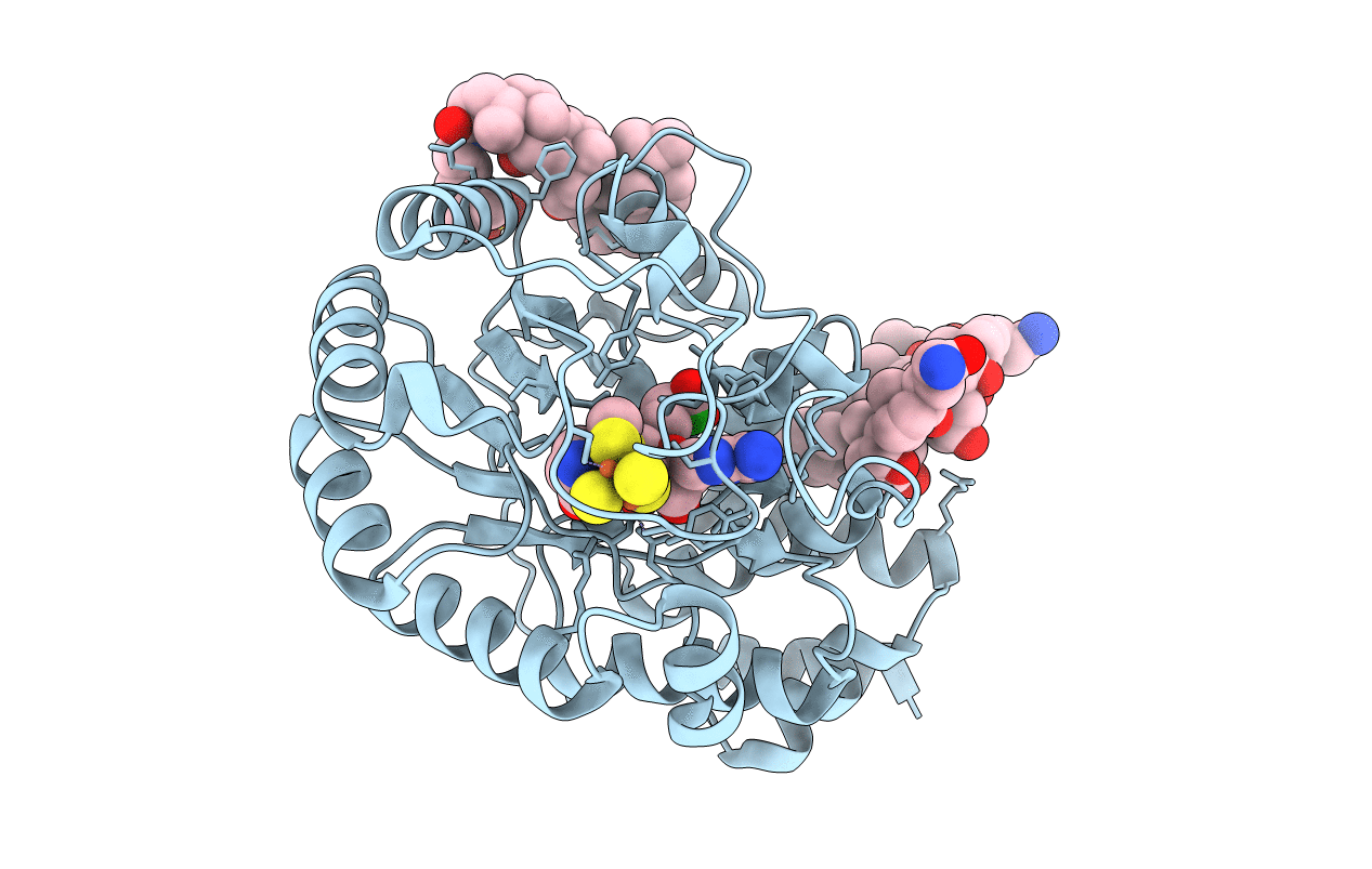 5FEX image