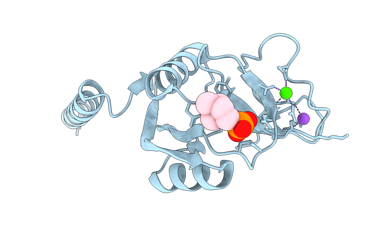 5FFR image