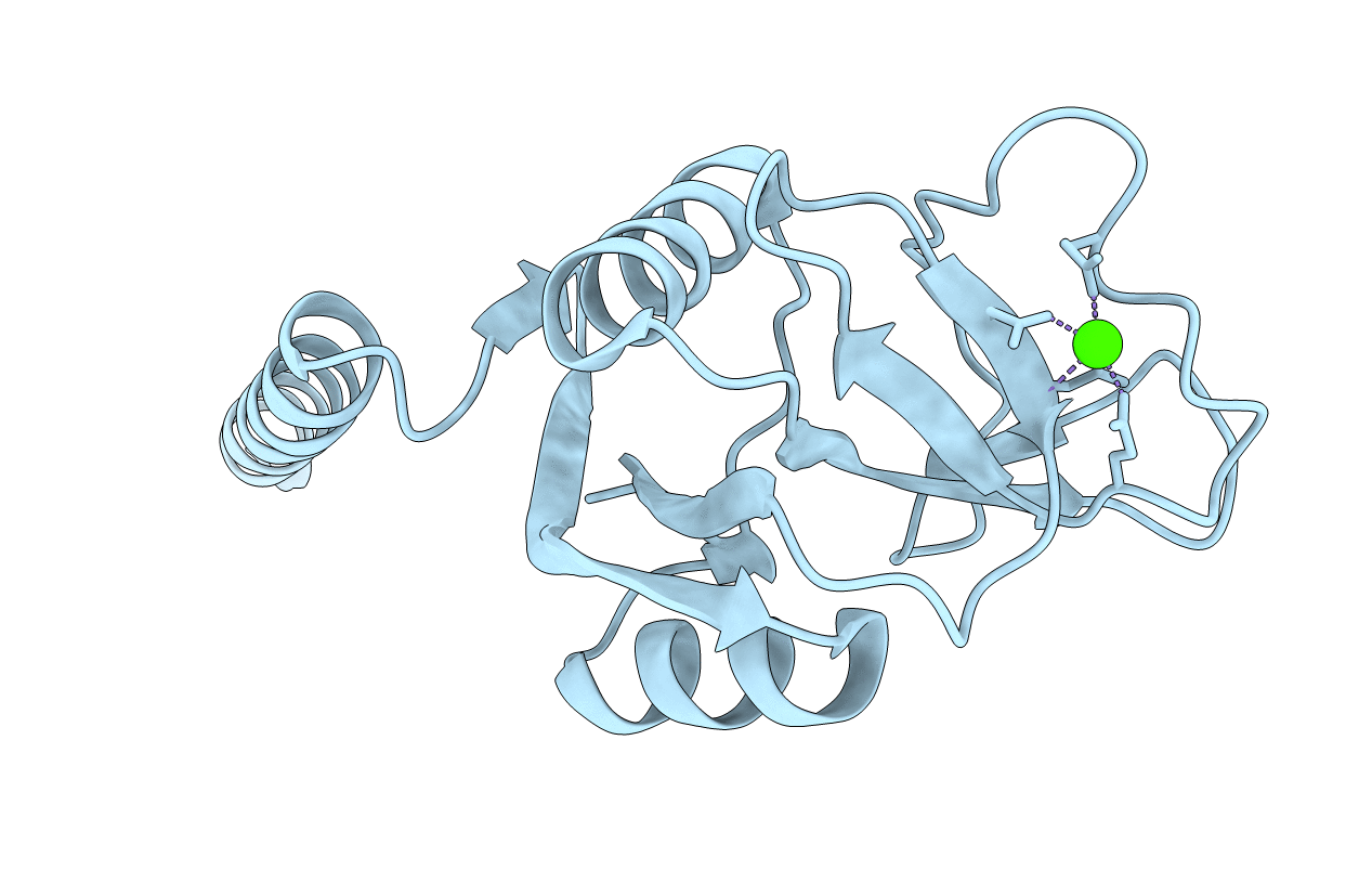 5FFT image