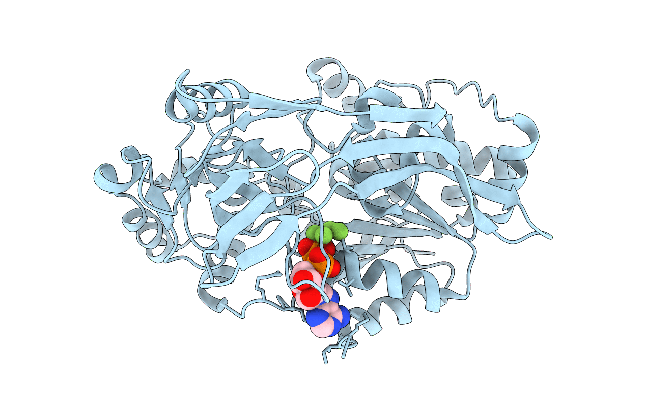 5FHF image