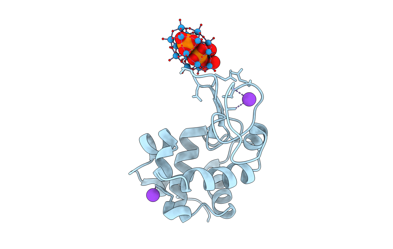 5FHW image