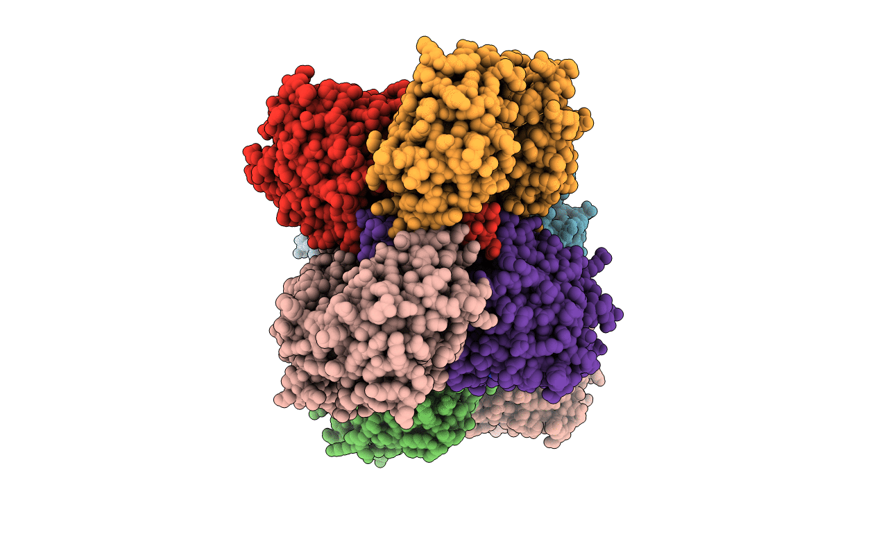 5FHZ image