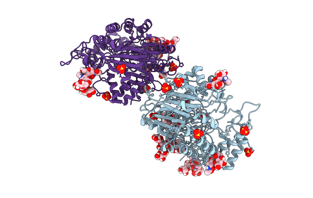5FIB image