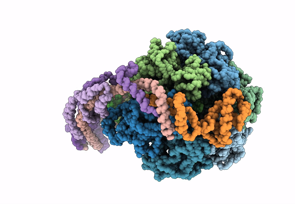5FIK image