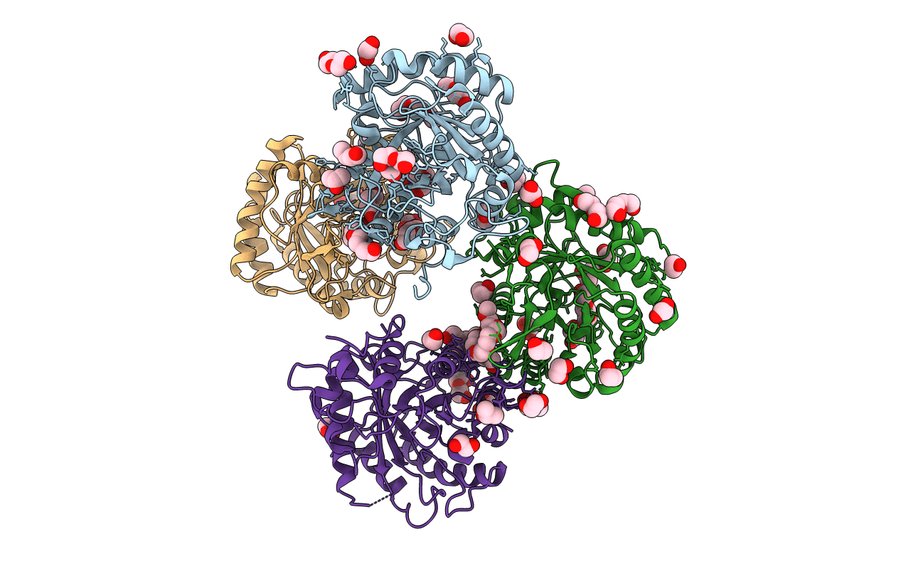 5FIP image