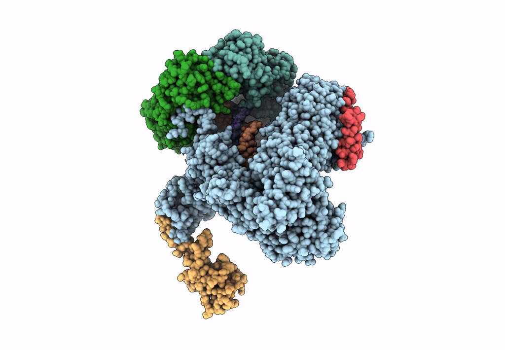 5FKV image