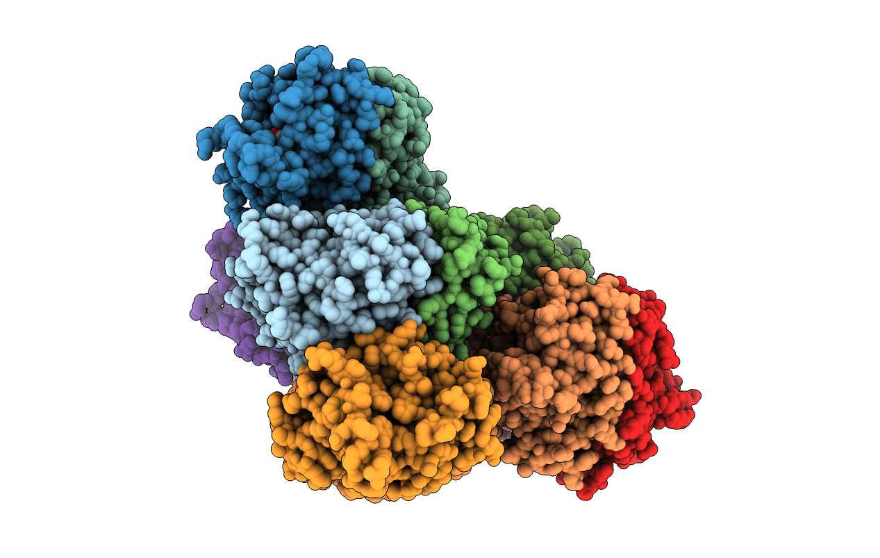 5FLI image