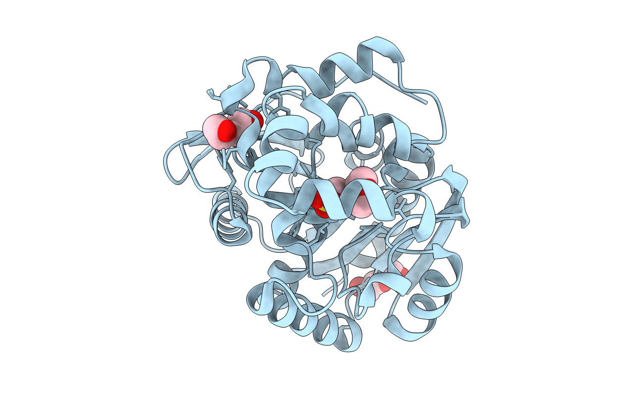 5FLK image