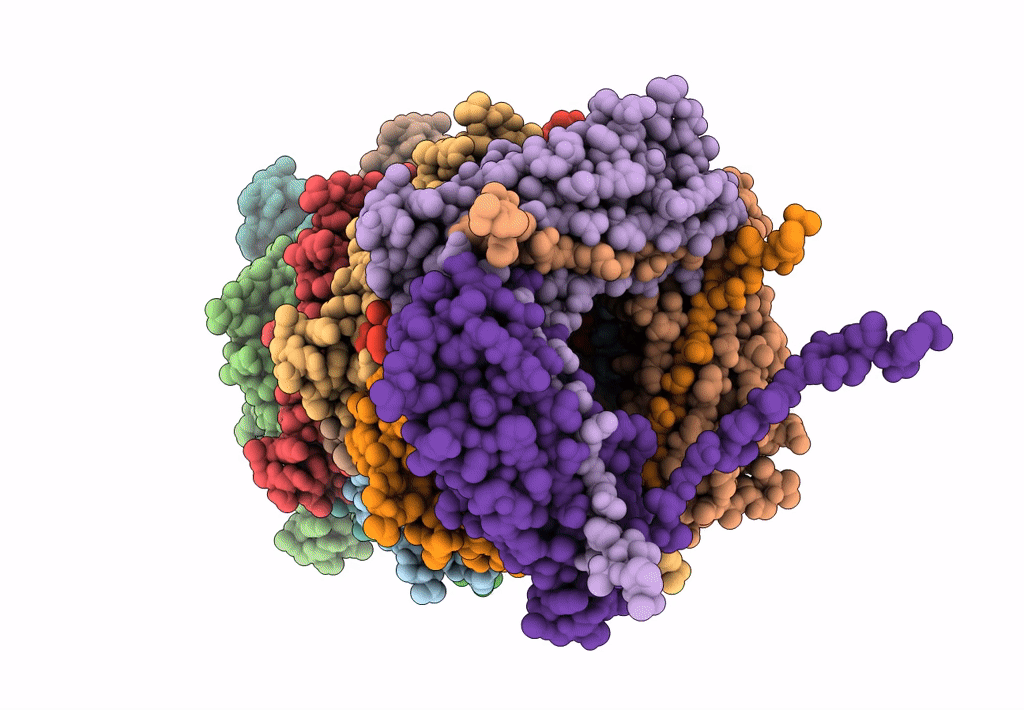 5FLU image