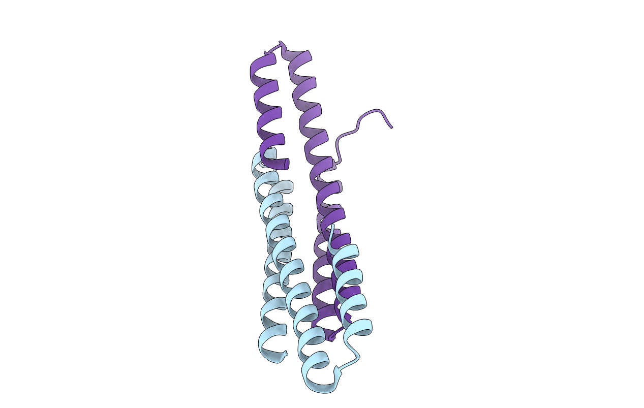 5FMN image