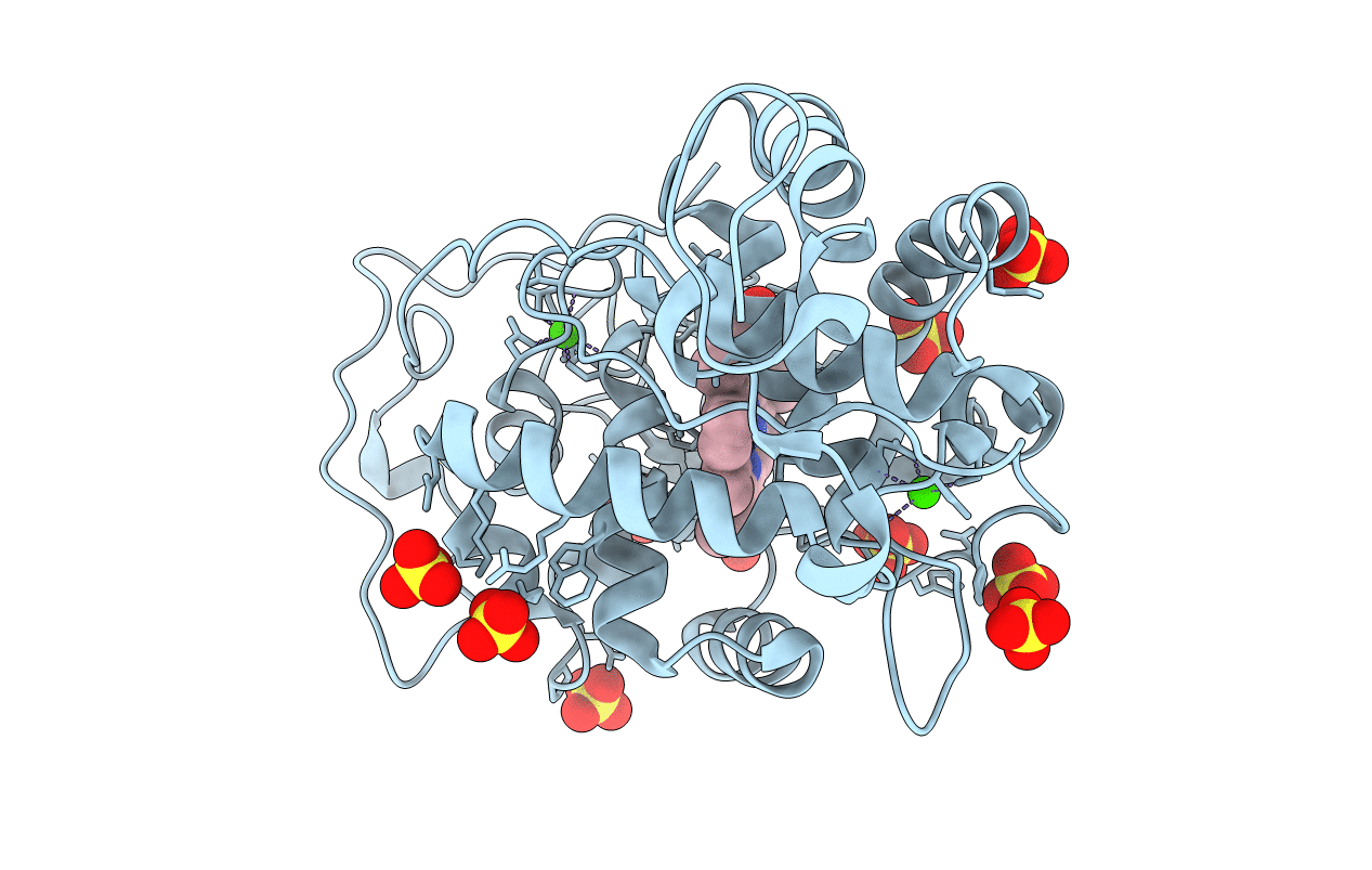 5FNE image