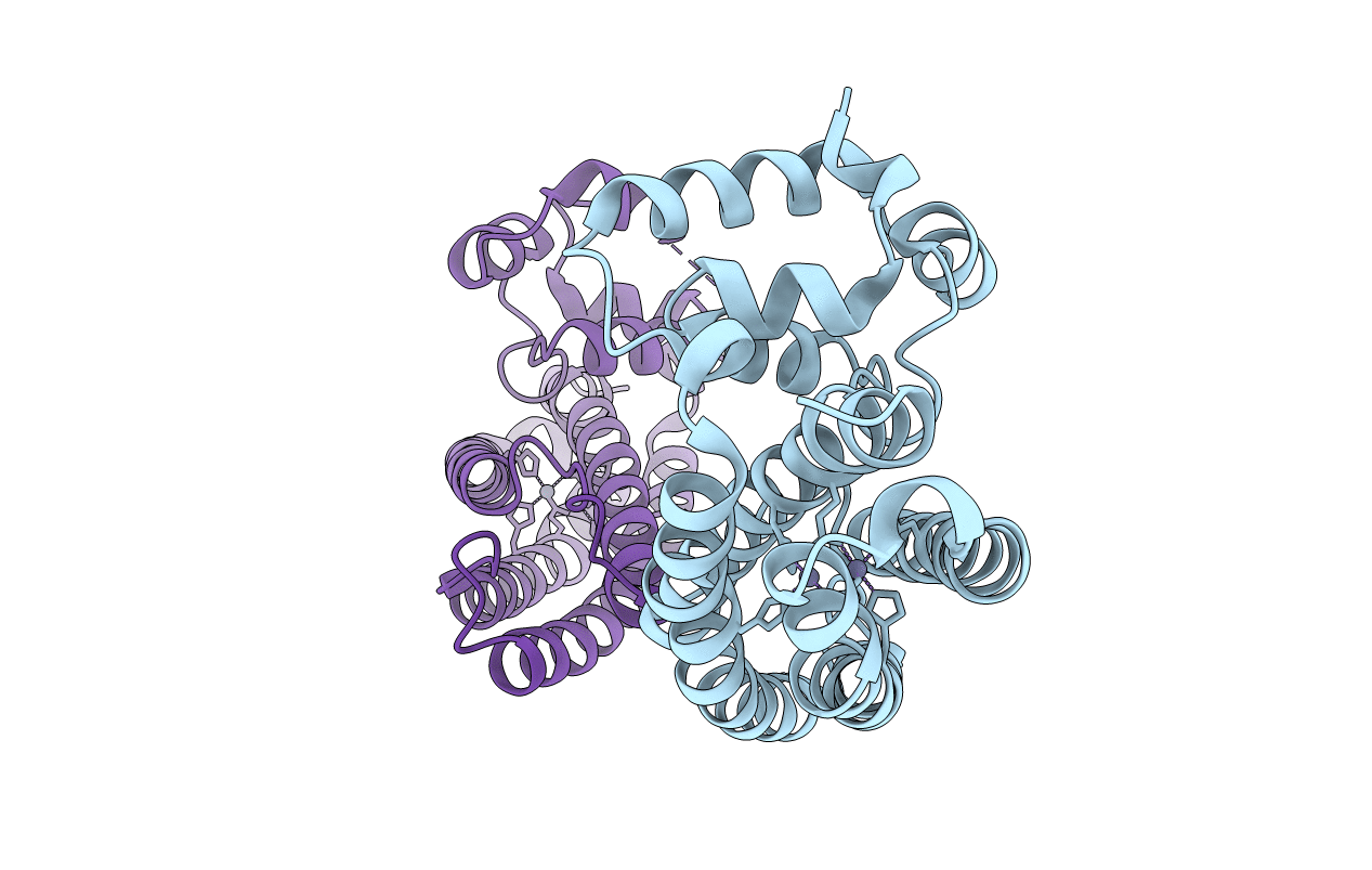 5FNP image
