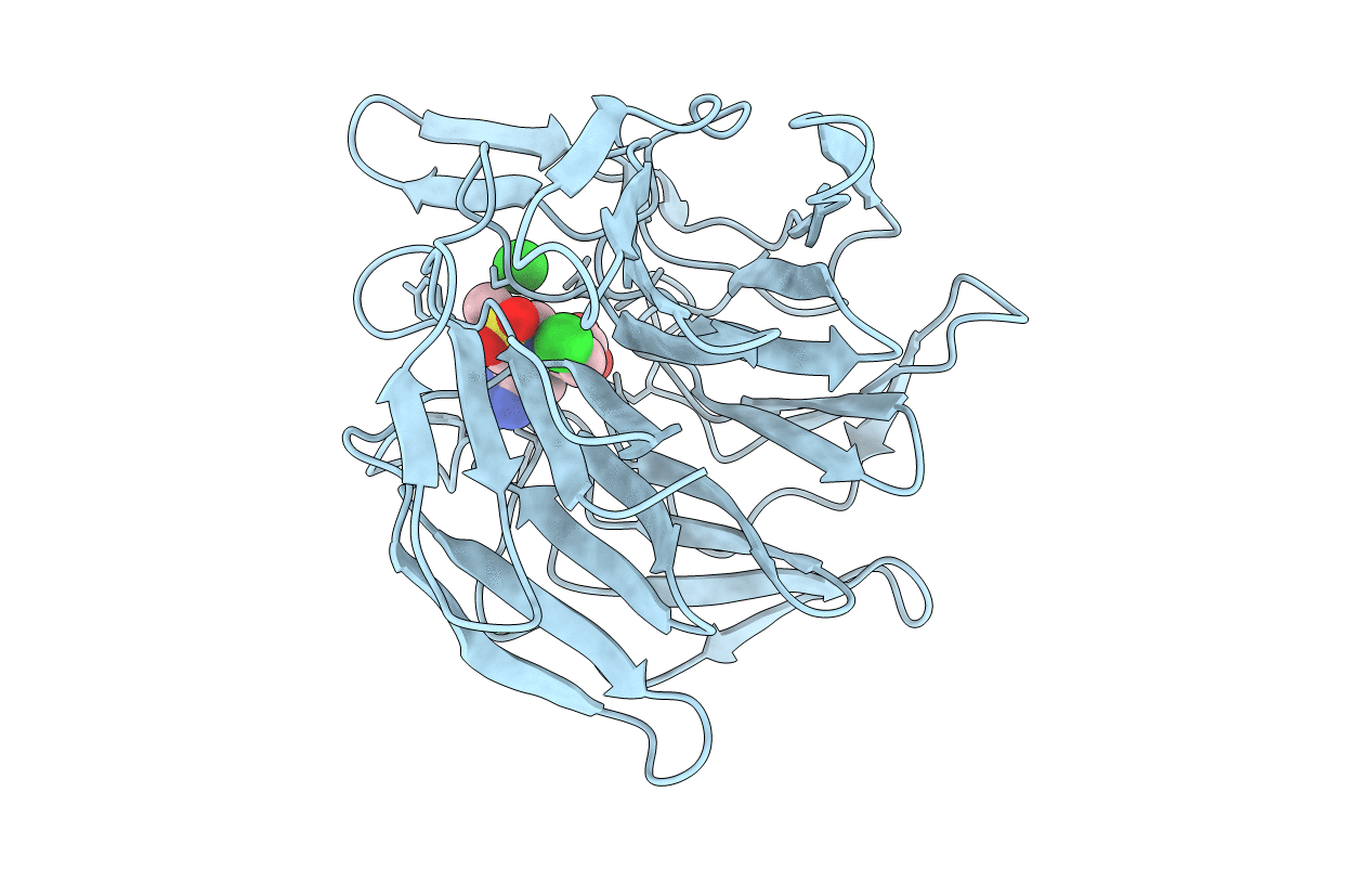 5FNS image