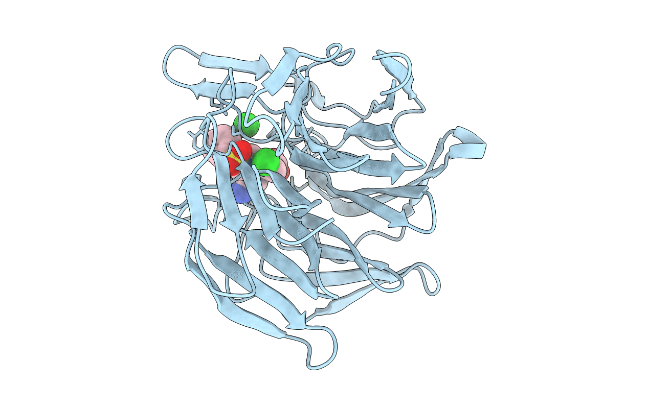 5FNT image