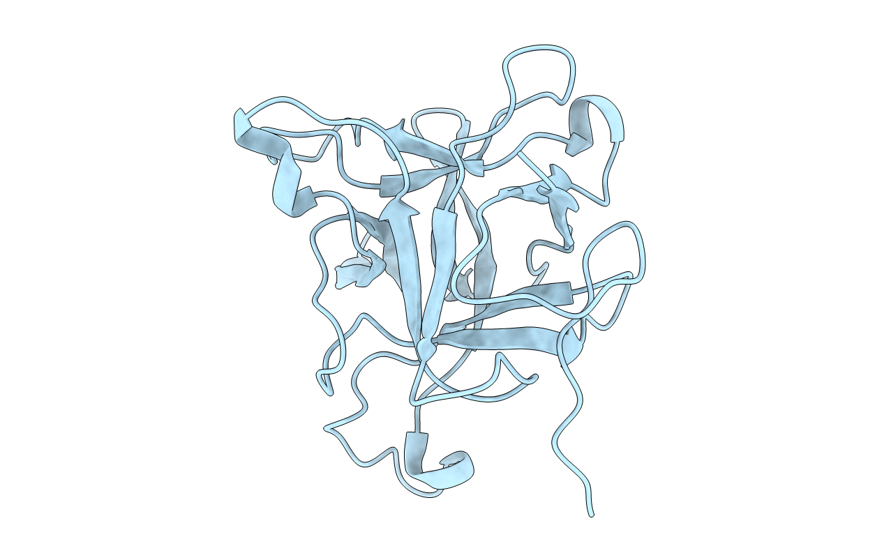 5FNW image