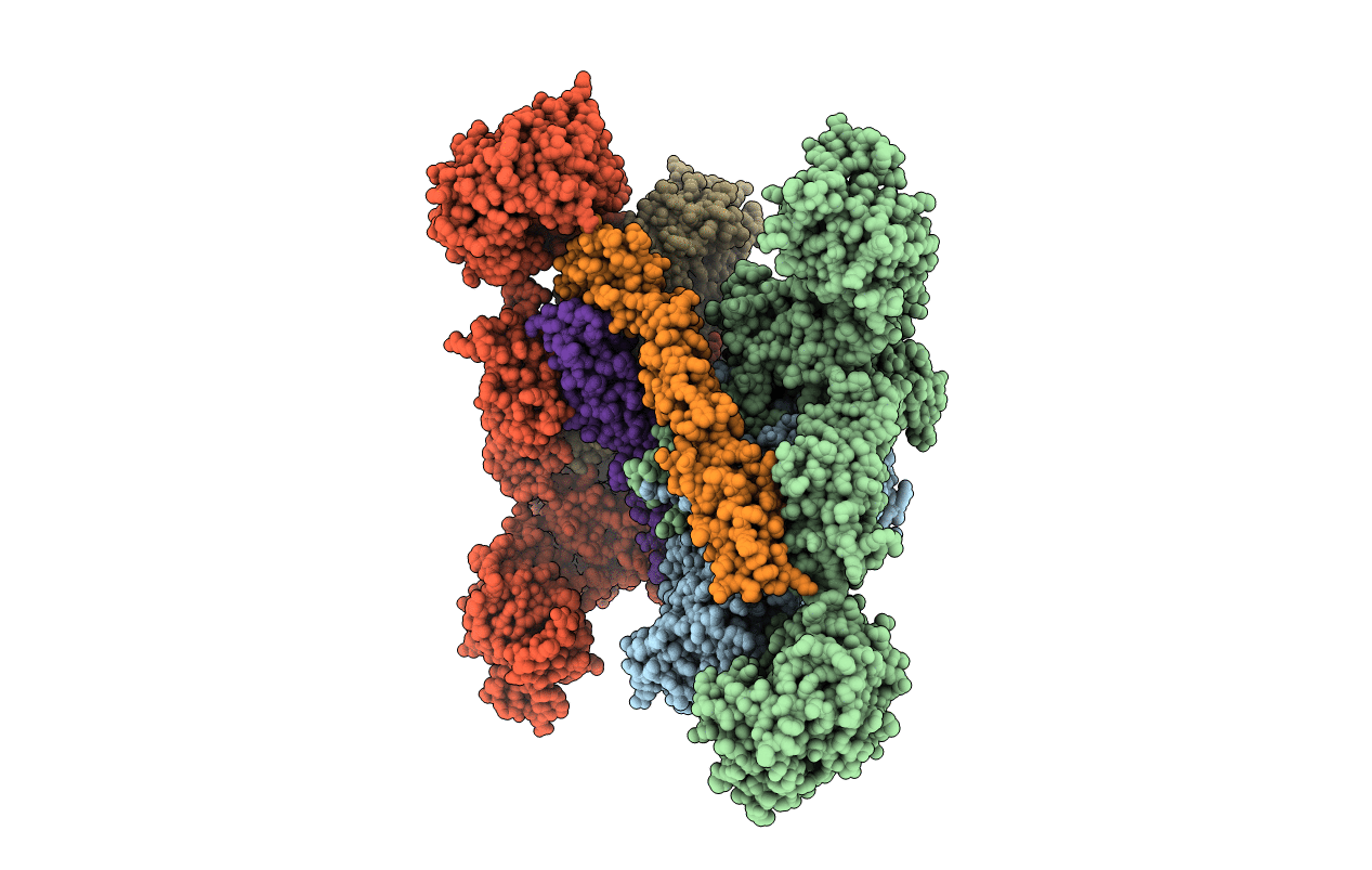 5FOA image