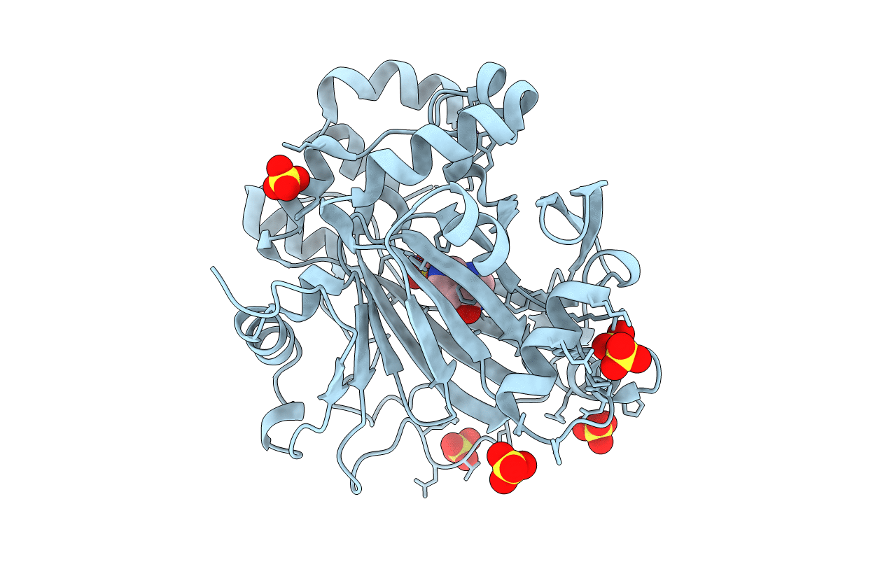5FPA image