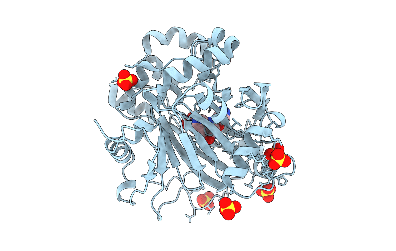 5FPB image
