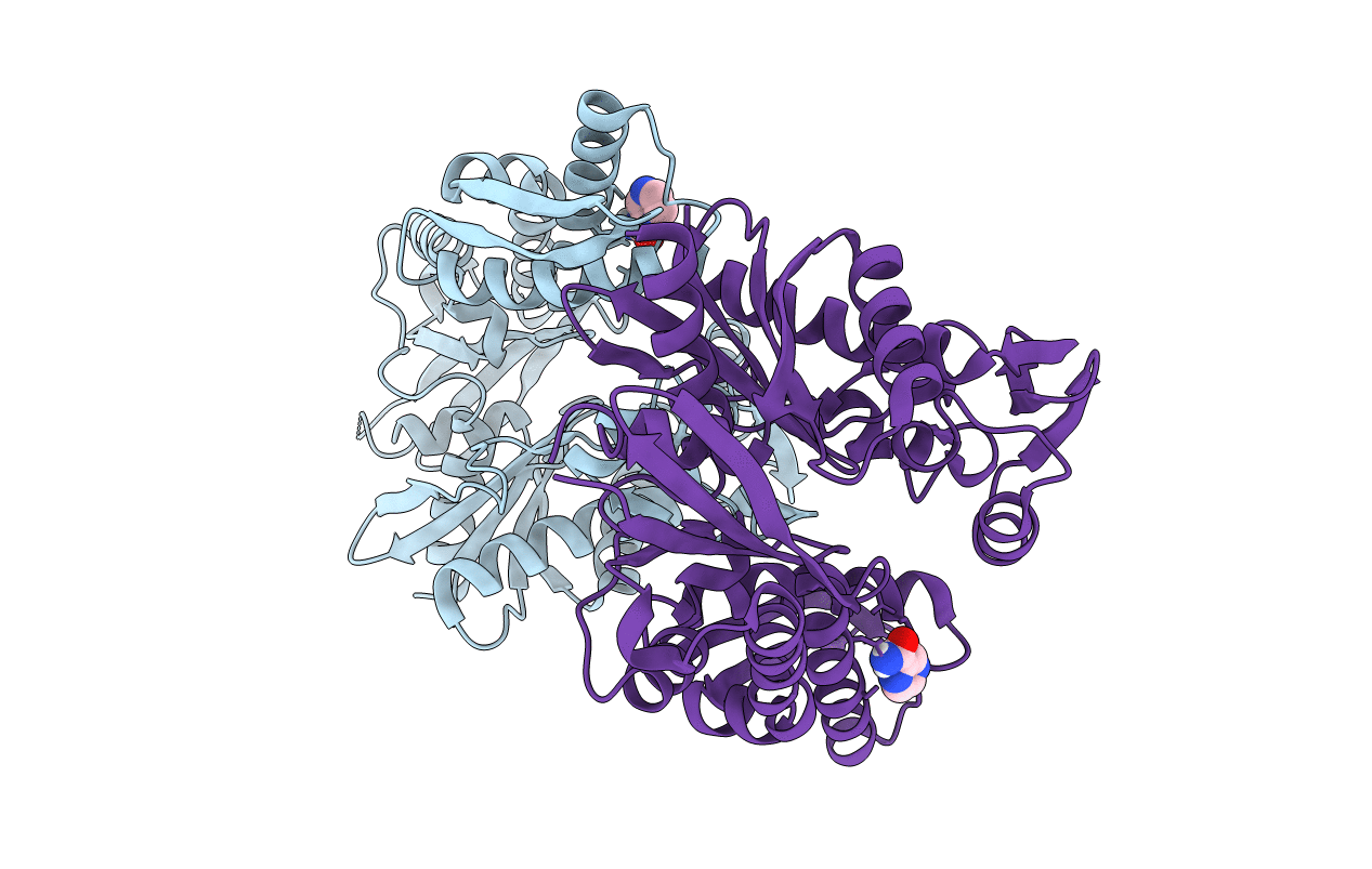 5FPD image