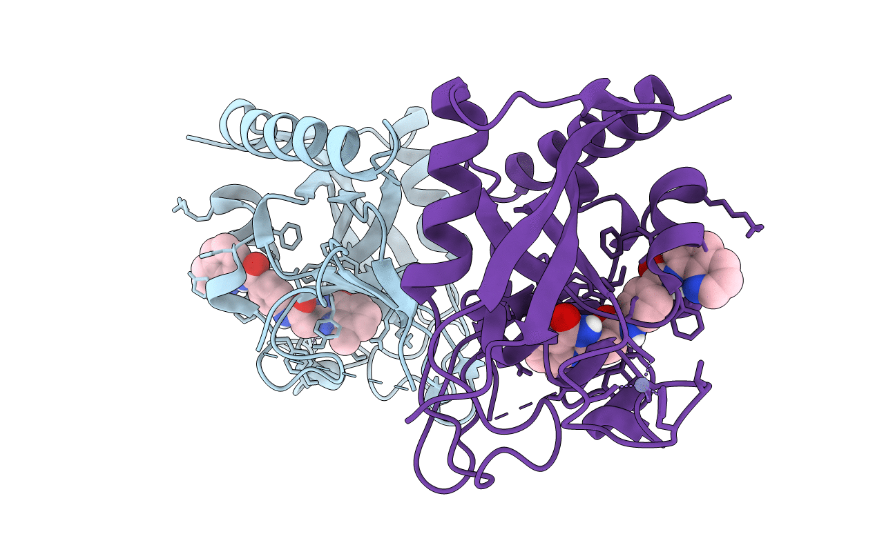 5FPG image