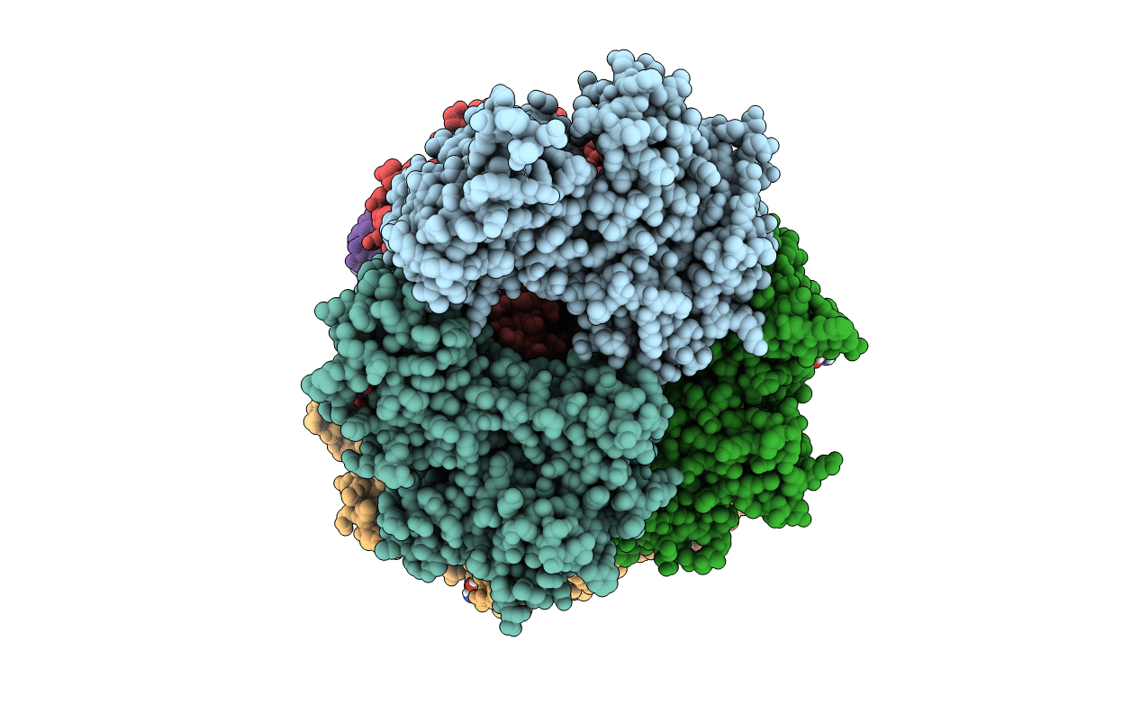5FPH image