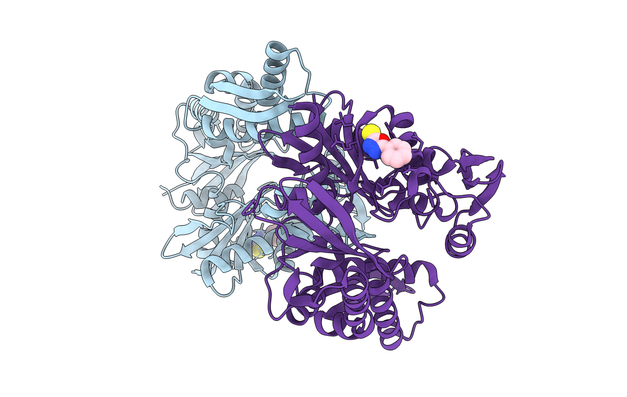 5FPM image