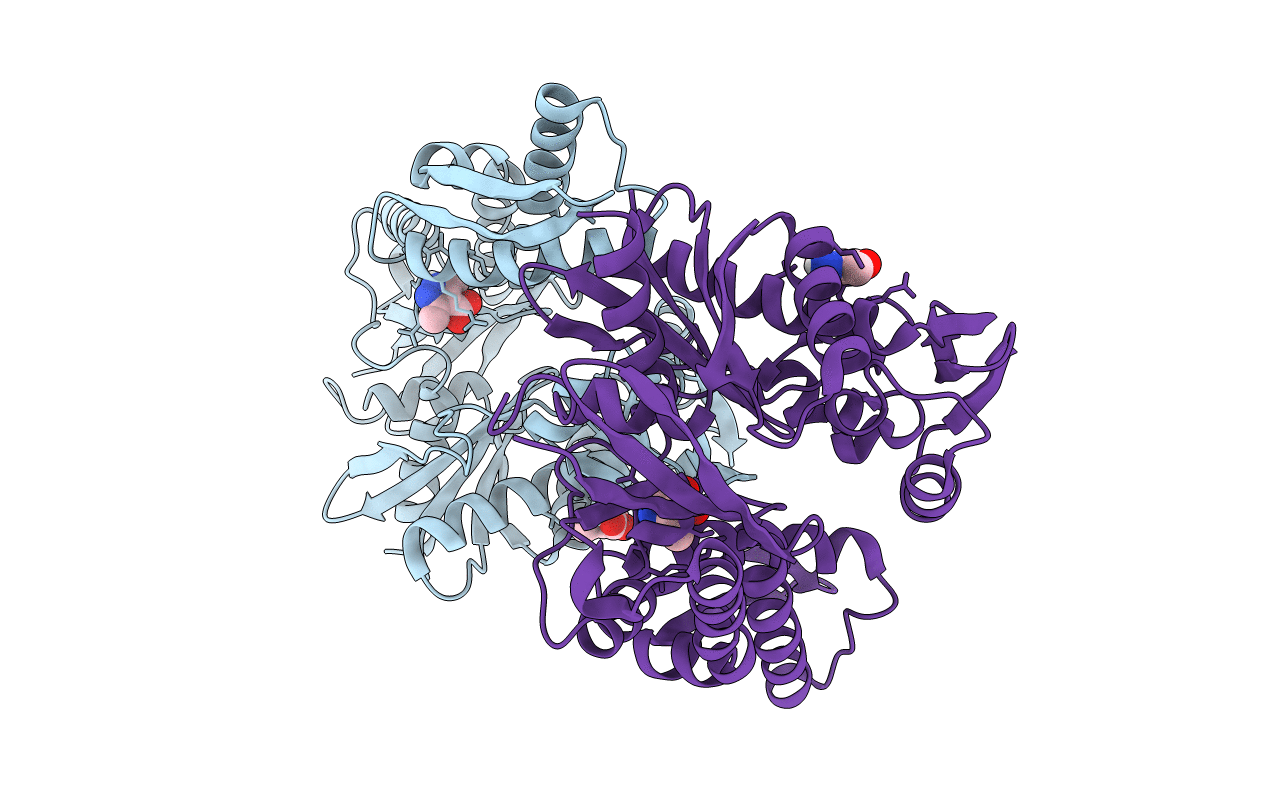 5FPN image