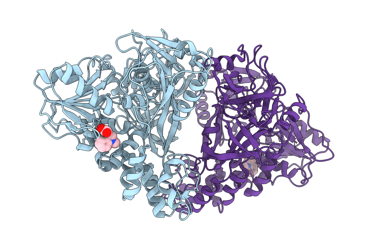 5FPT image