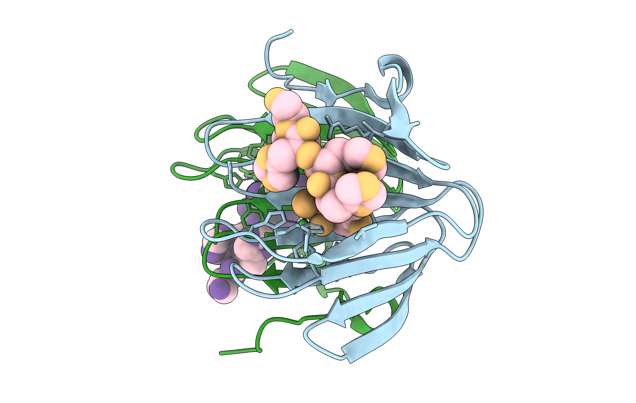 5FPX image