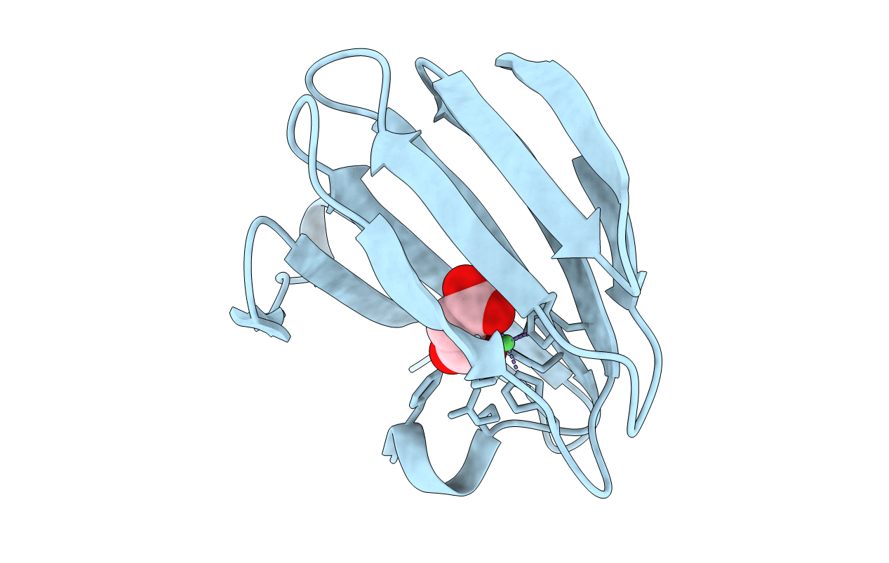 5FPZ image