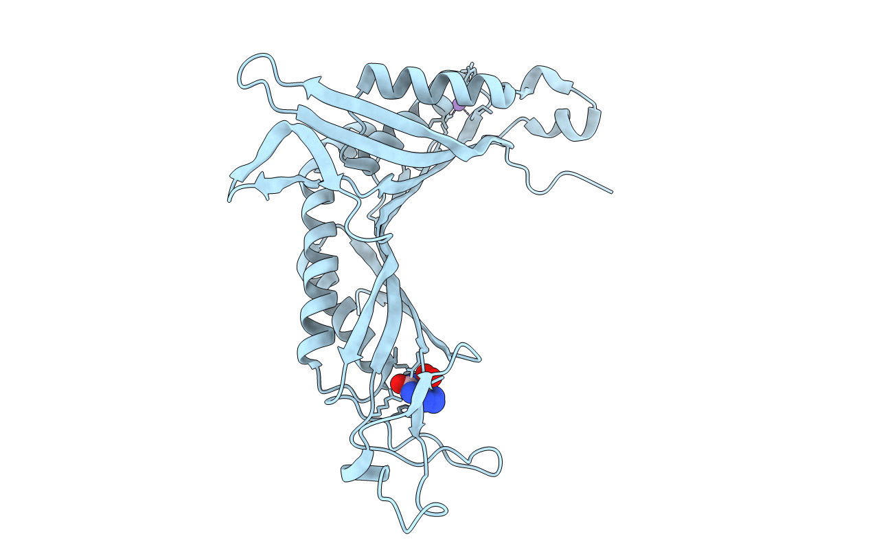 5FRC image