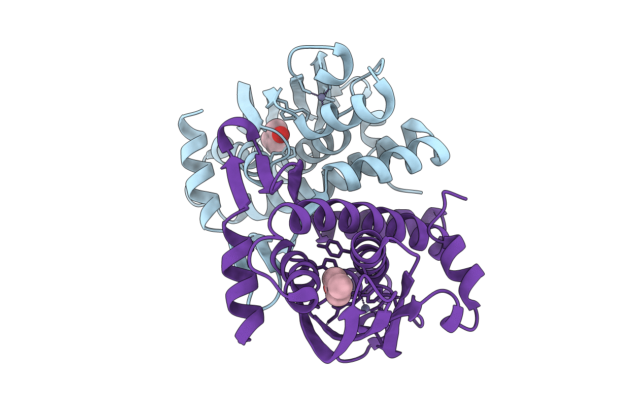 5FRV image