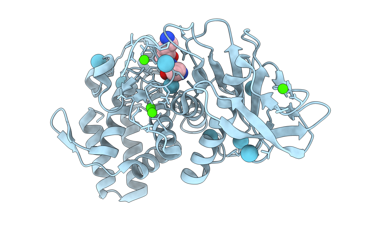 5FSP image