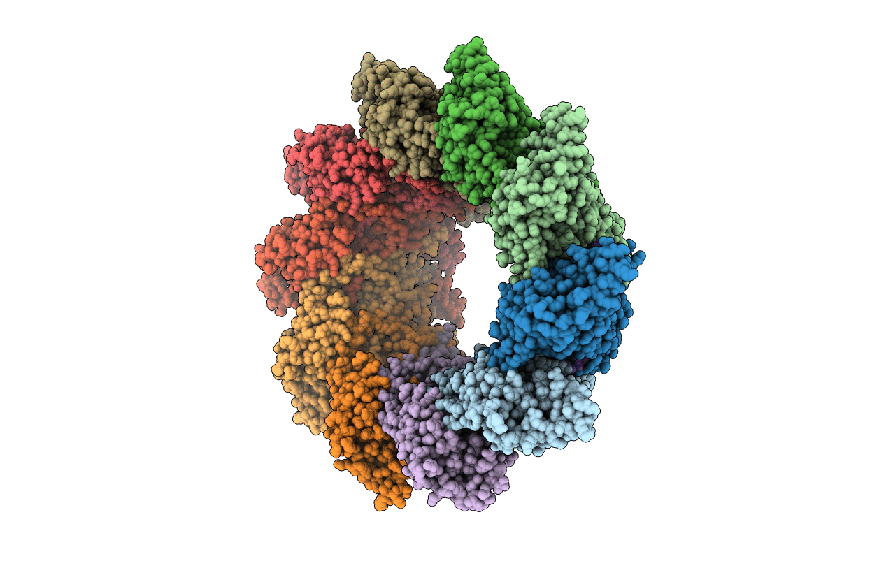 5FVC image