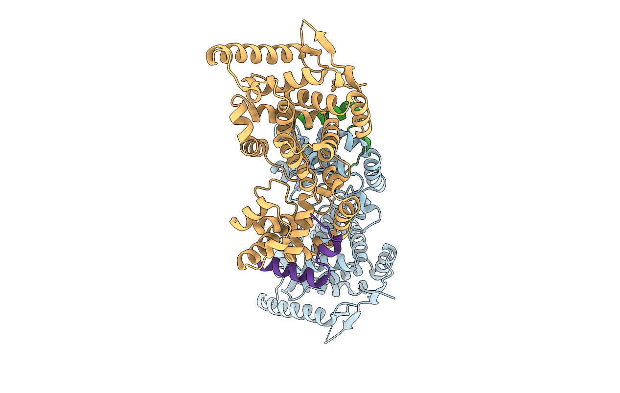 5FVD image