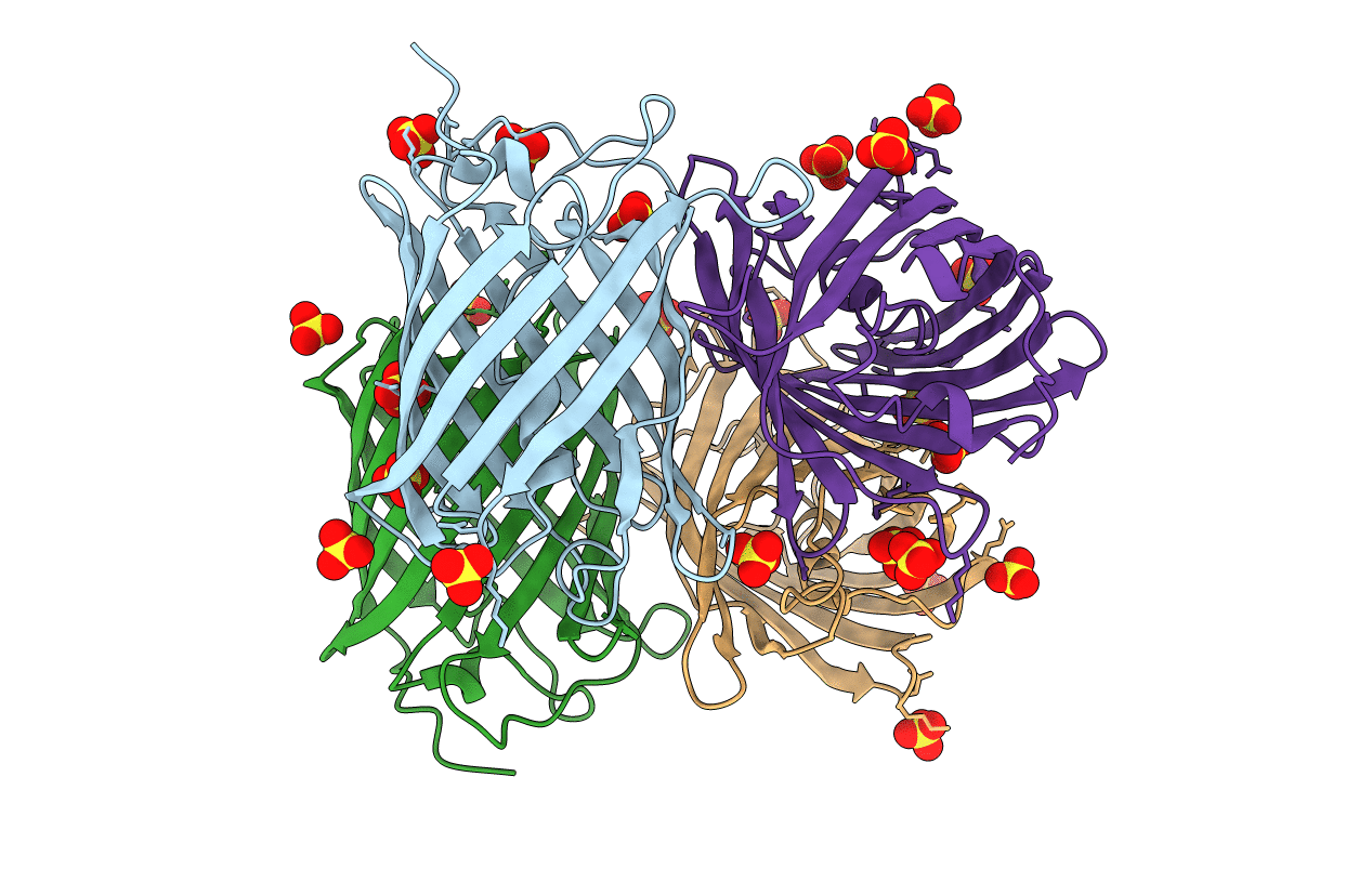 5FVI image