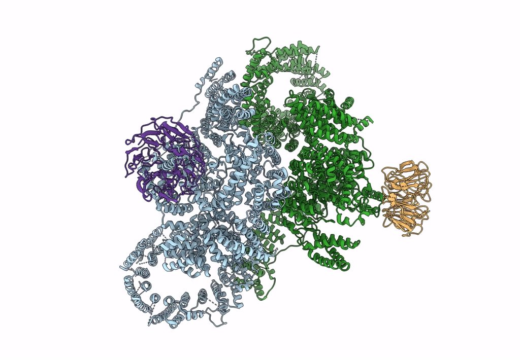 5FVM image