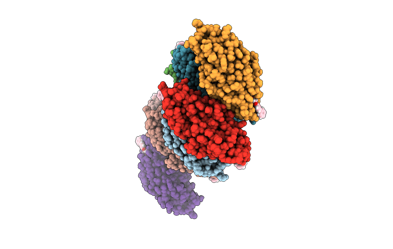 5FWR image