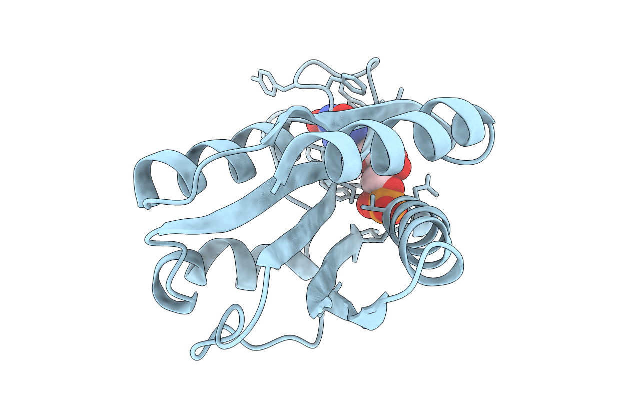 5fx2 image