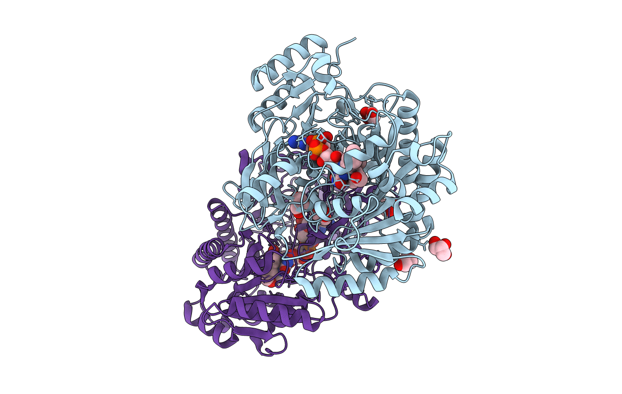 5FXE image