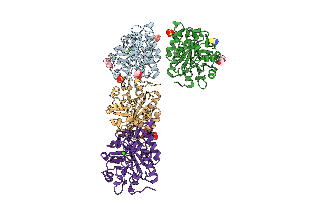 5FYP image