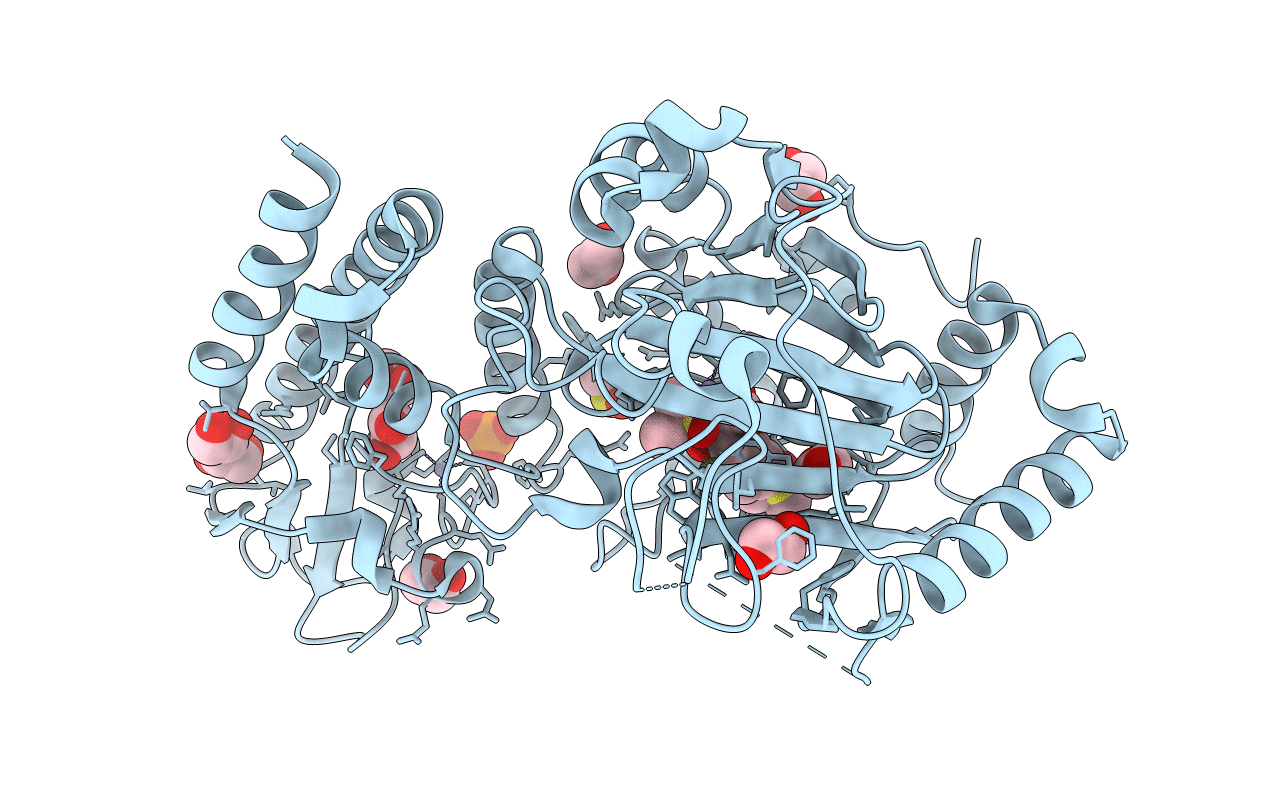 5FZM image