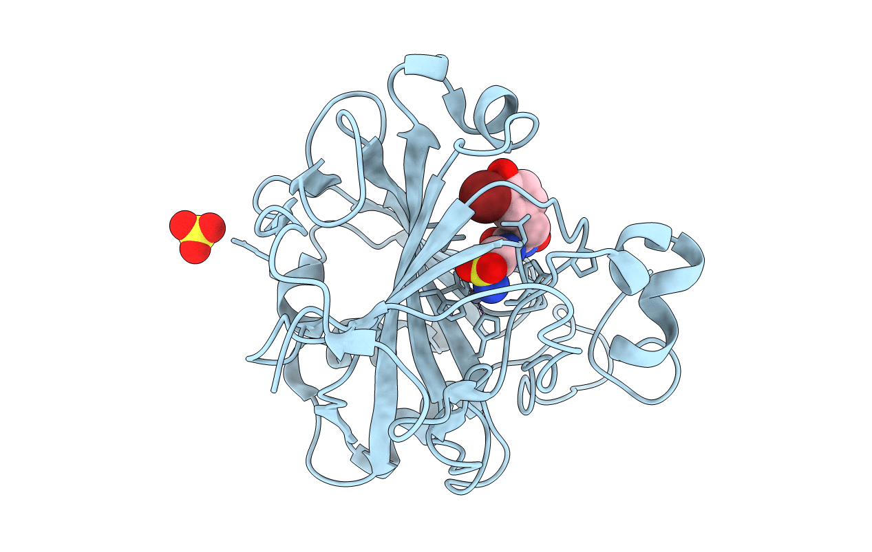 5G03 image