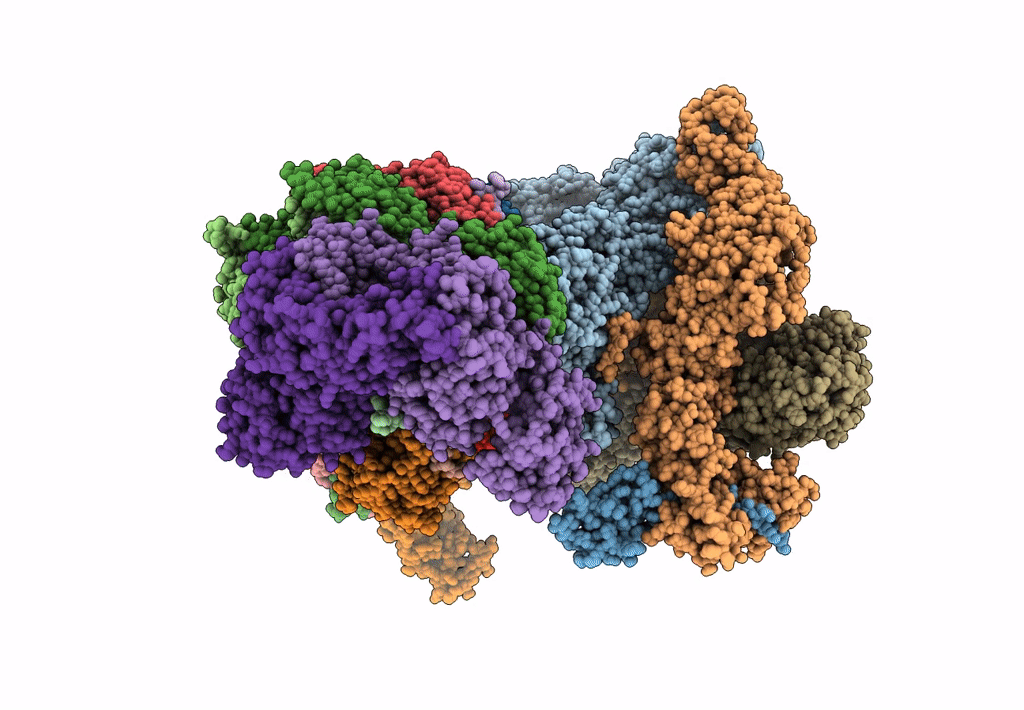 5G04 image