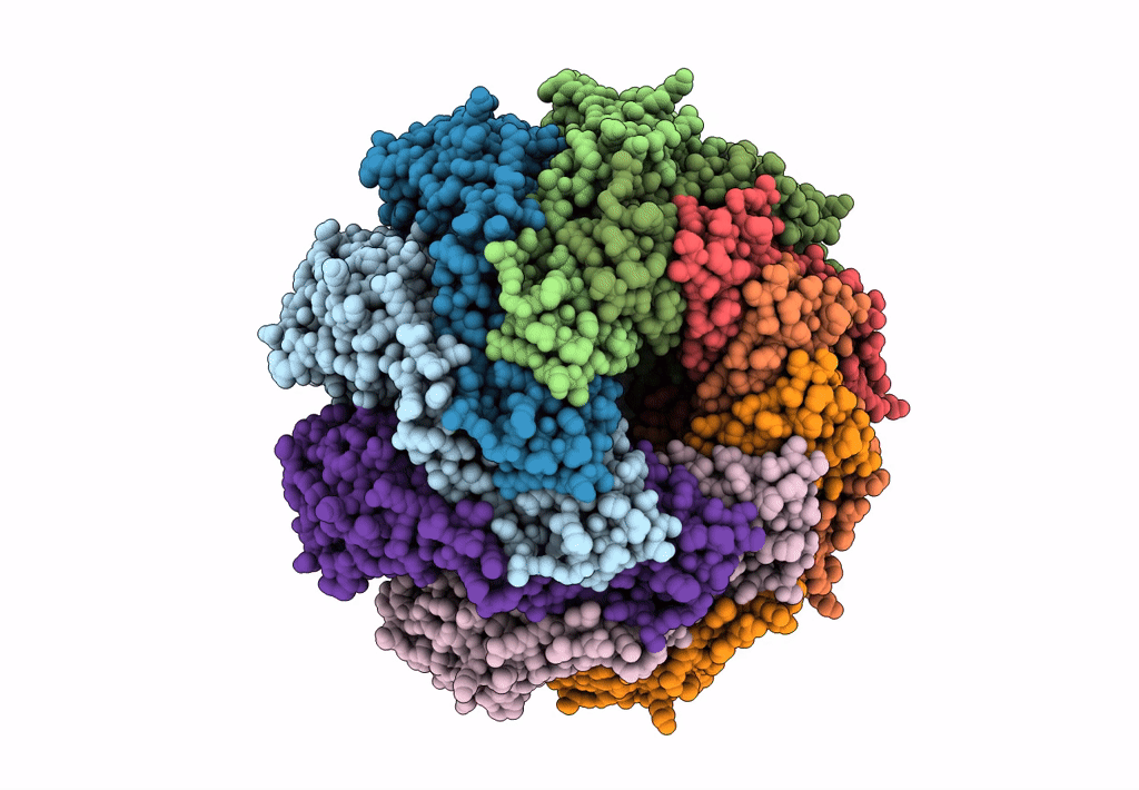 5GAQ image