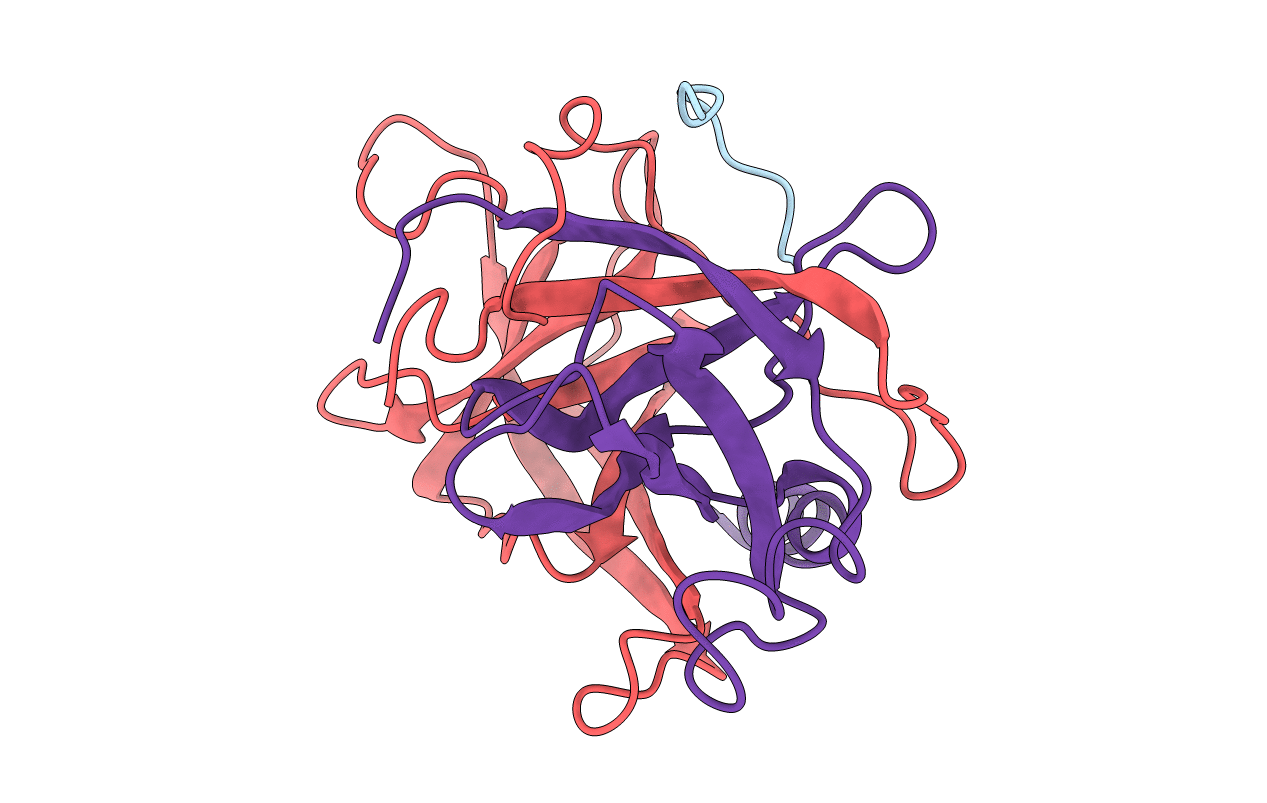 5GCH image